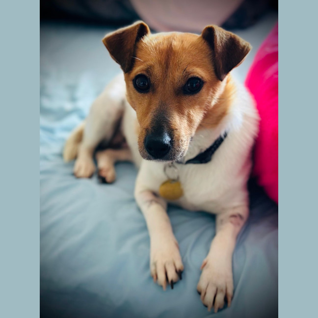 Photo of Paroo