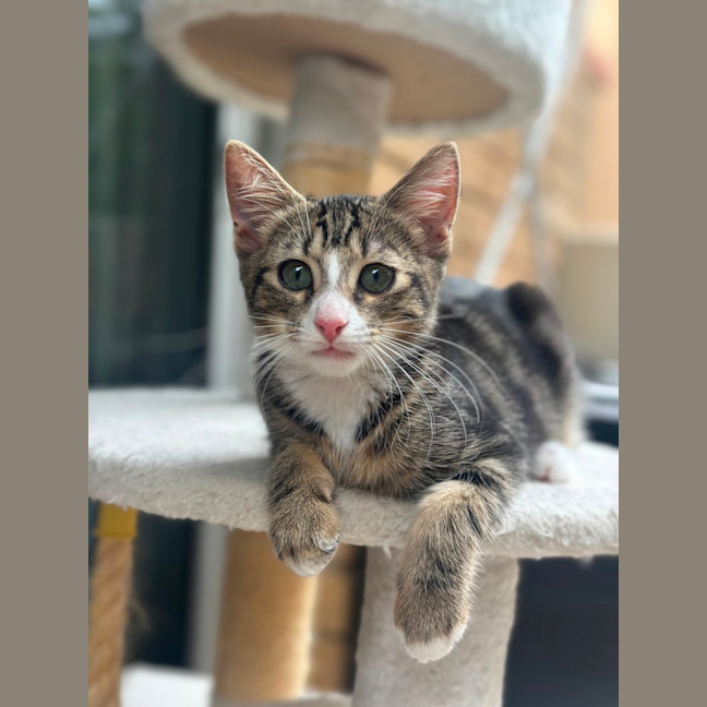 Photo of Spud