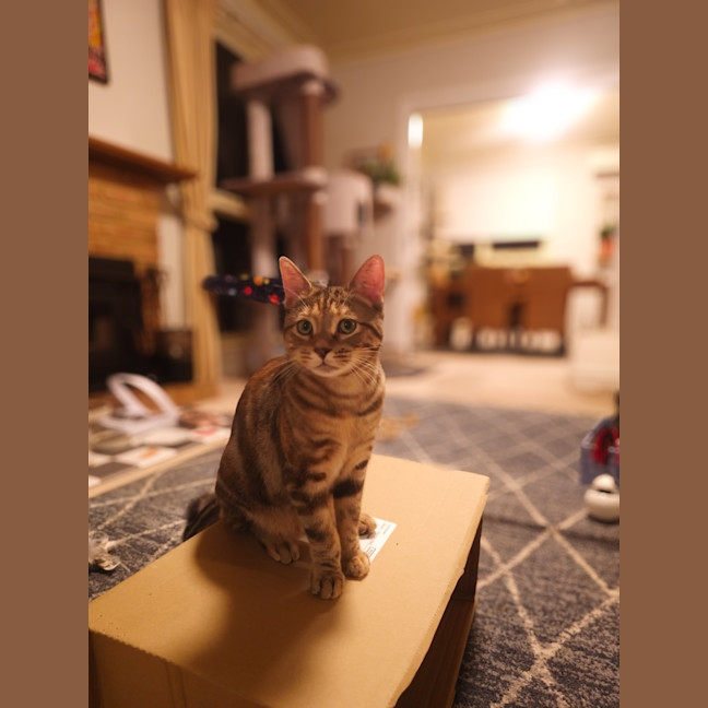 Photo of Mila