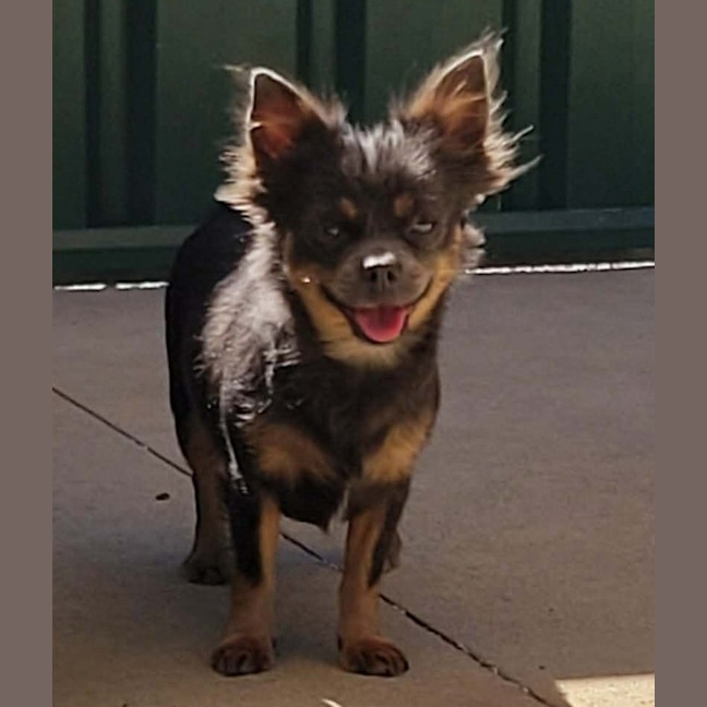 Photo of Evie