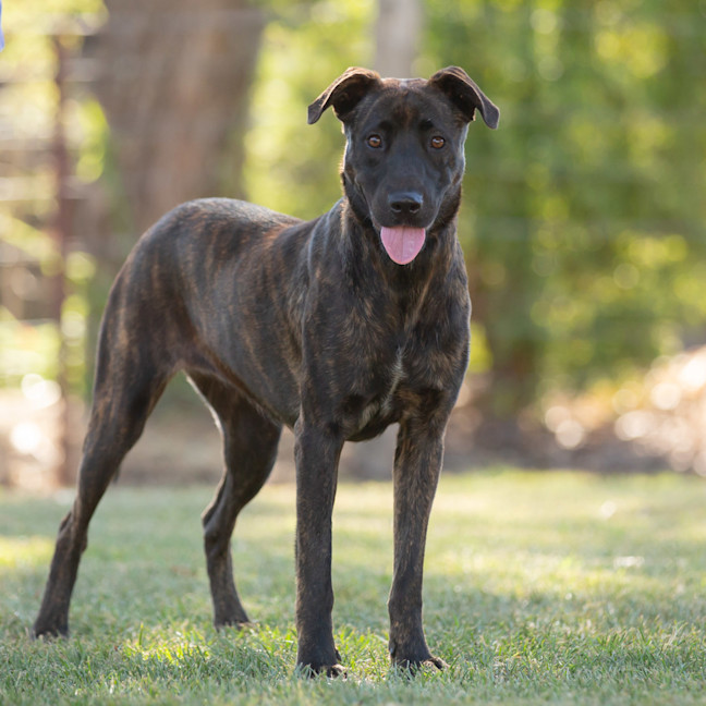Photo of Hazel