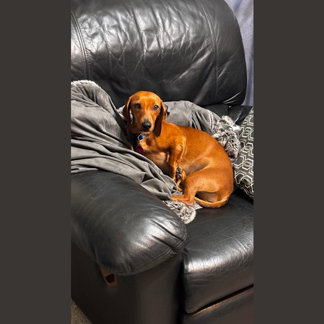 Photo of Evie And Ella