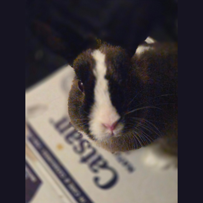 Photo of Oliver