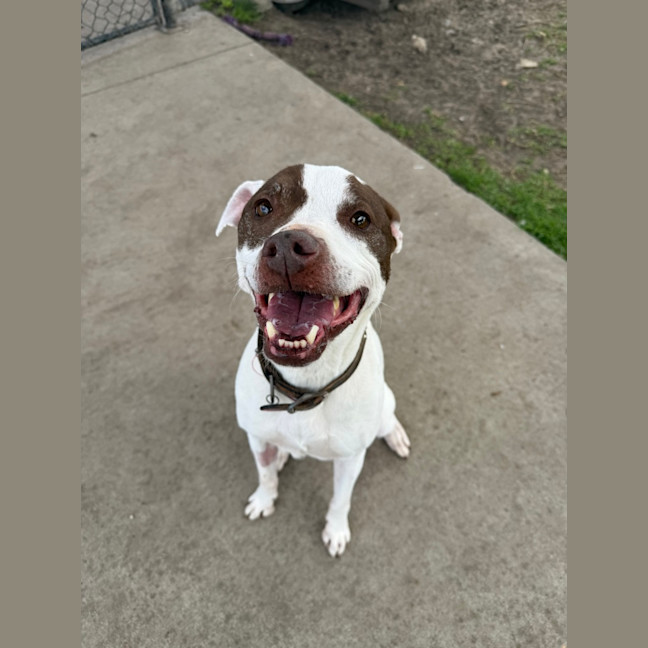 Photo of Xena 