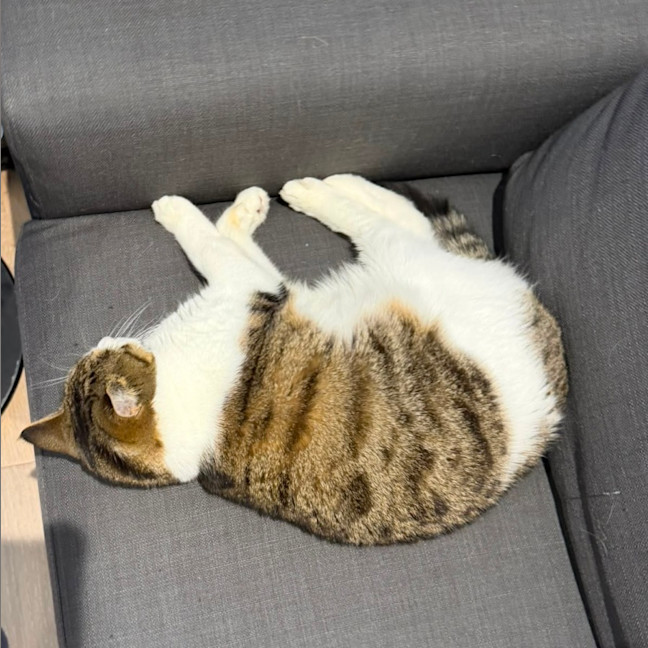 Photo of Vivian