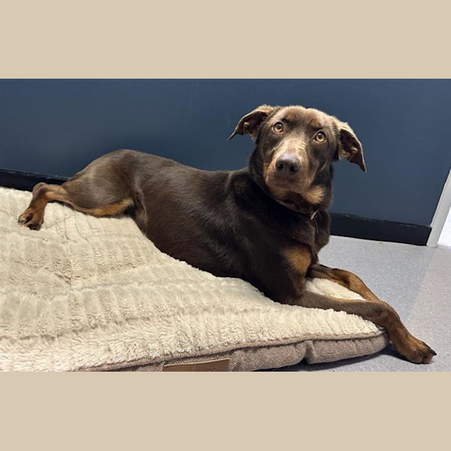 Photo of Mrs. Dottie