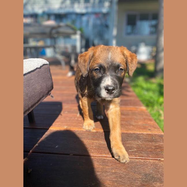 Photo of Dennis Reynolds 