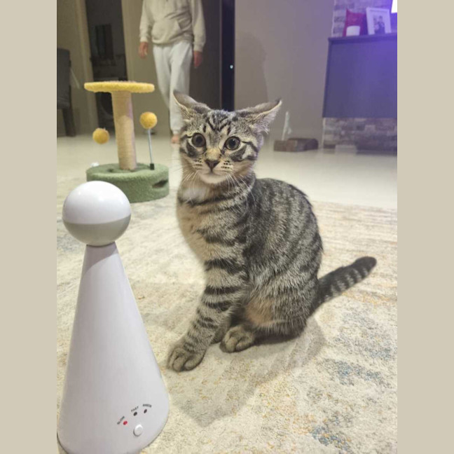 Photo of Axel And Aria