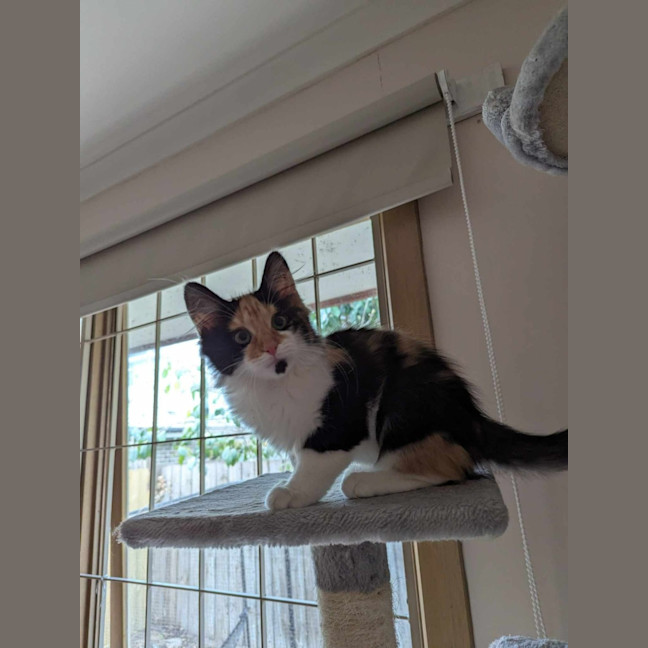 Photo of Wilma Flintstone 