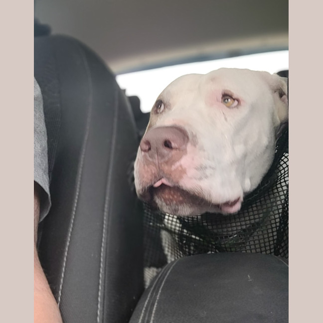 Photo of Mackalicious