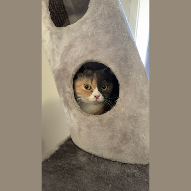 Photo of Hazel