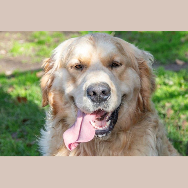 Photo of Sarrh Falko 