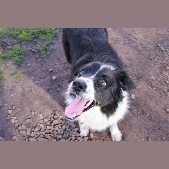 Photo of Mikka