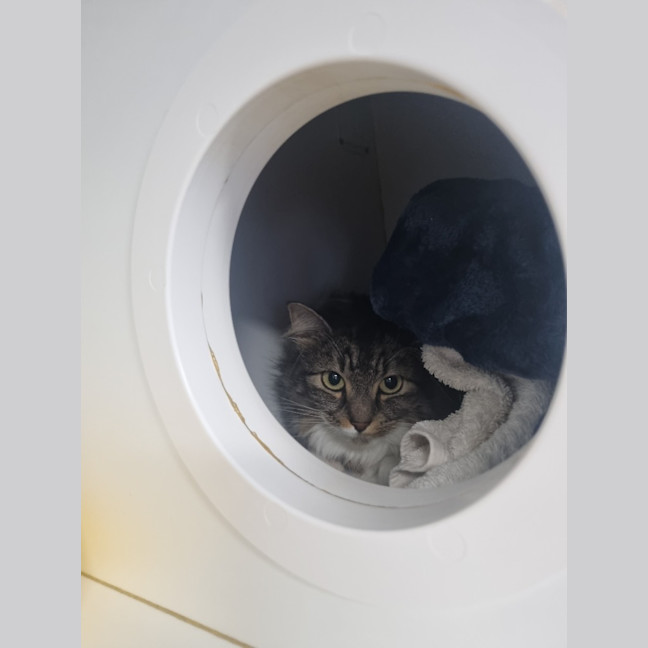 Photo of Mavis