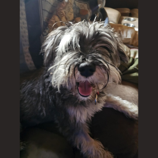 Photo of Cali And Theo