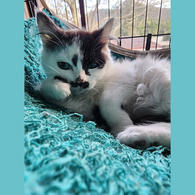 Photo of Matilda 