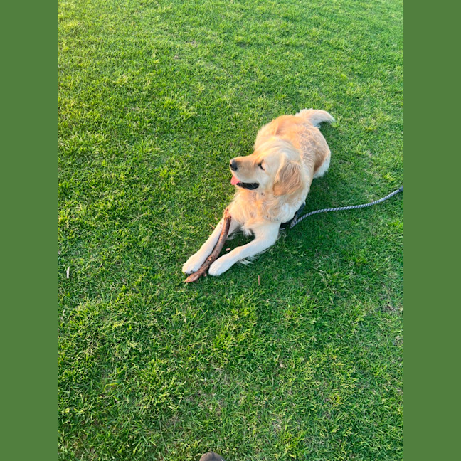 Photo of Digger