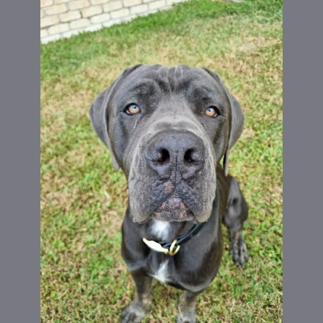 Photo of Clifford