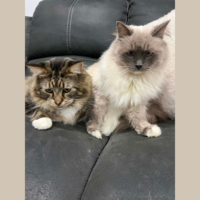 Photo of Billie And Ravioli