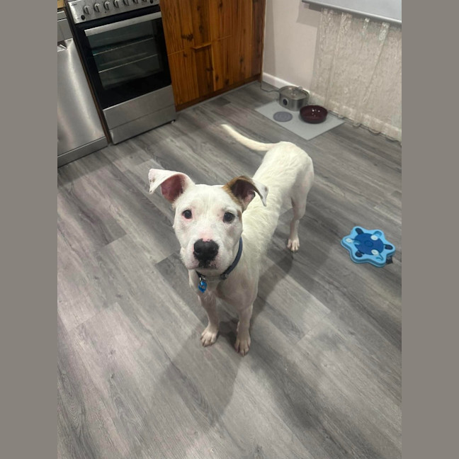 Photo of Arlo