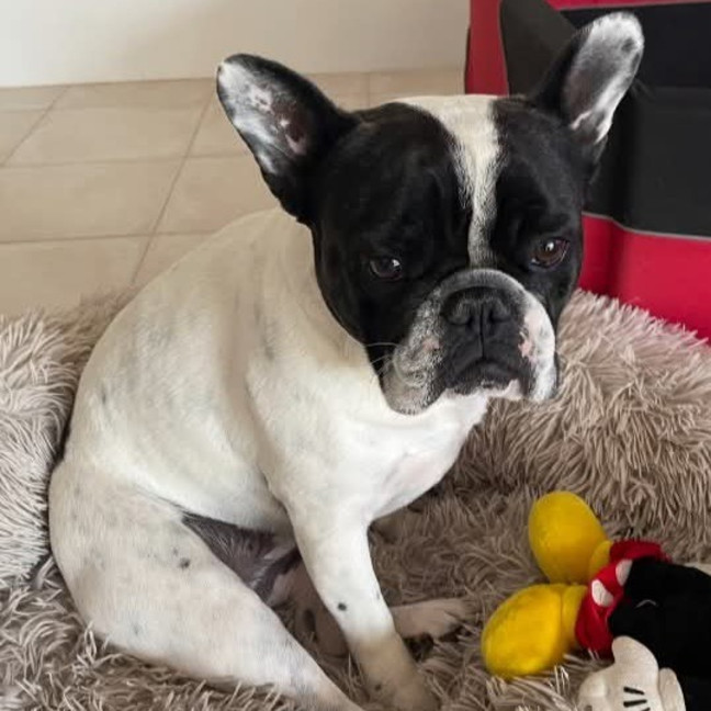 Photo of Buster