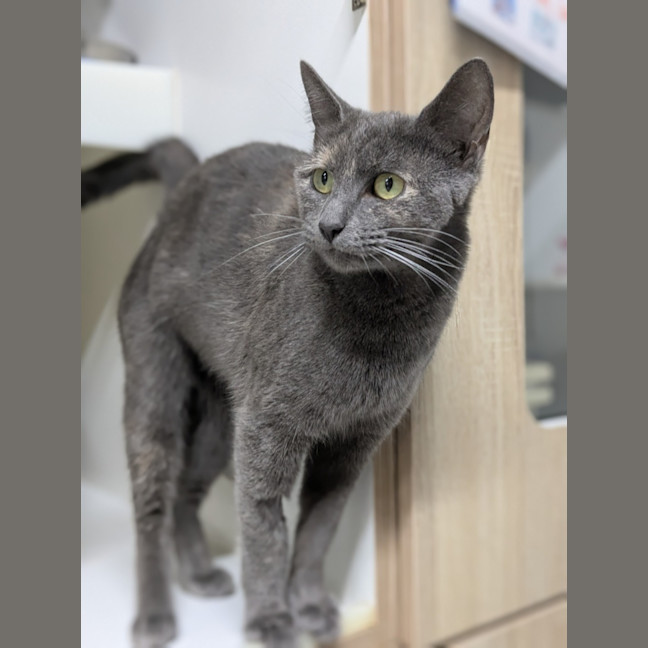 Photo of 🎓 Switch 5950 🎓