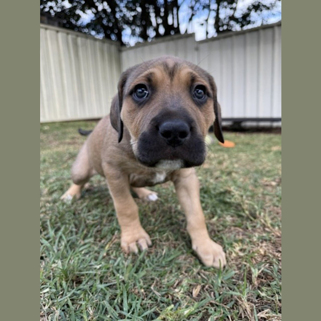 Photo of Maggie