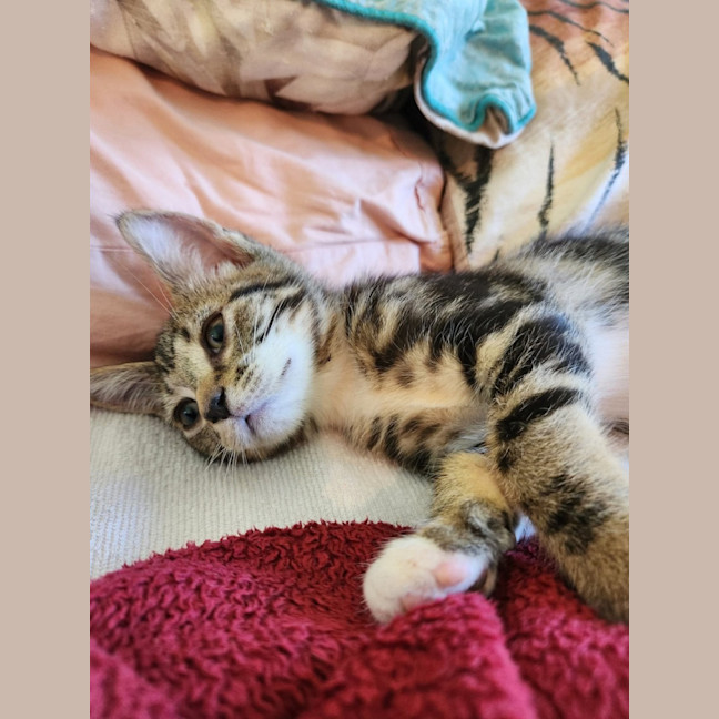 Photo of Tabatha