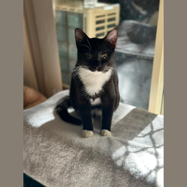 Photo of Benny