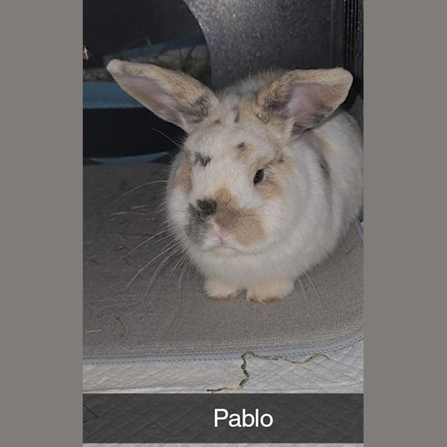 Photo of Pablo