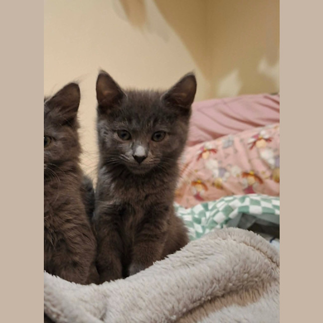 Photo of Antoinette