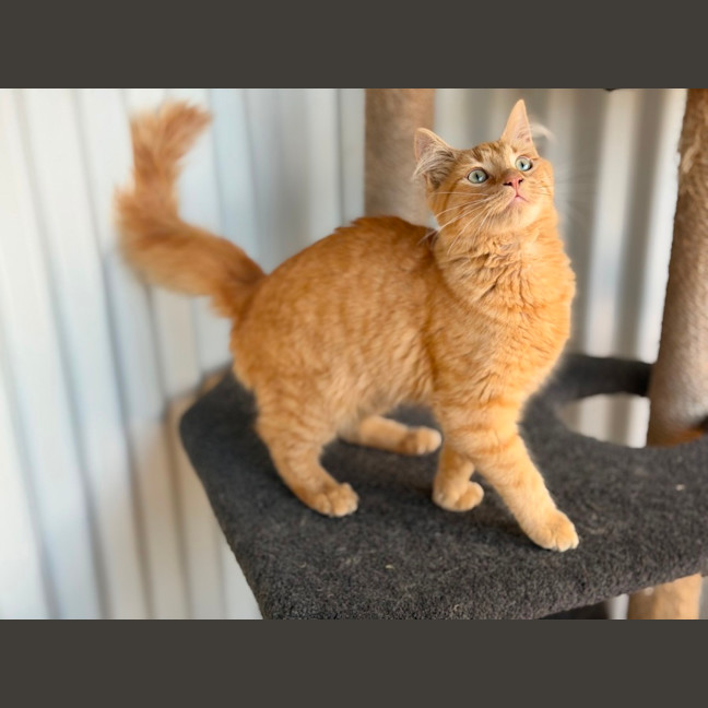 Photo of Parker