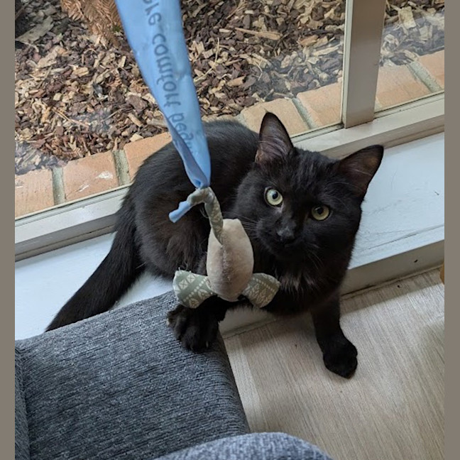 Photo of Morticia