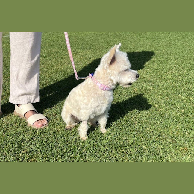 Photo of Lily Peggotty