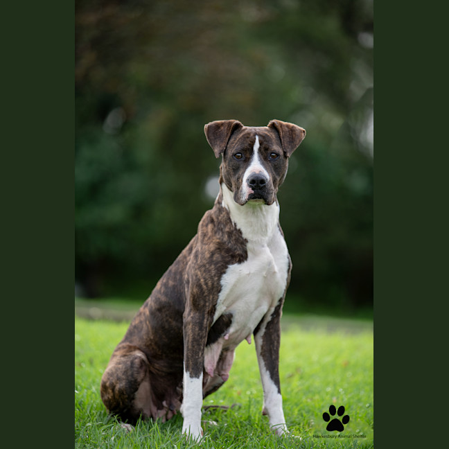 Photo of Sally
