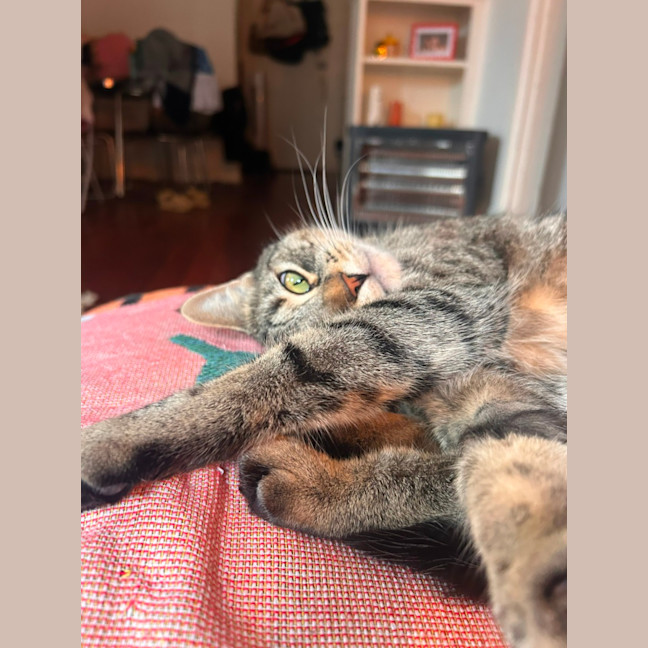 Photo of Baby 🌸