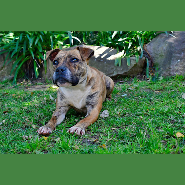 Photo of Polly Pocket