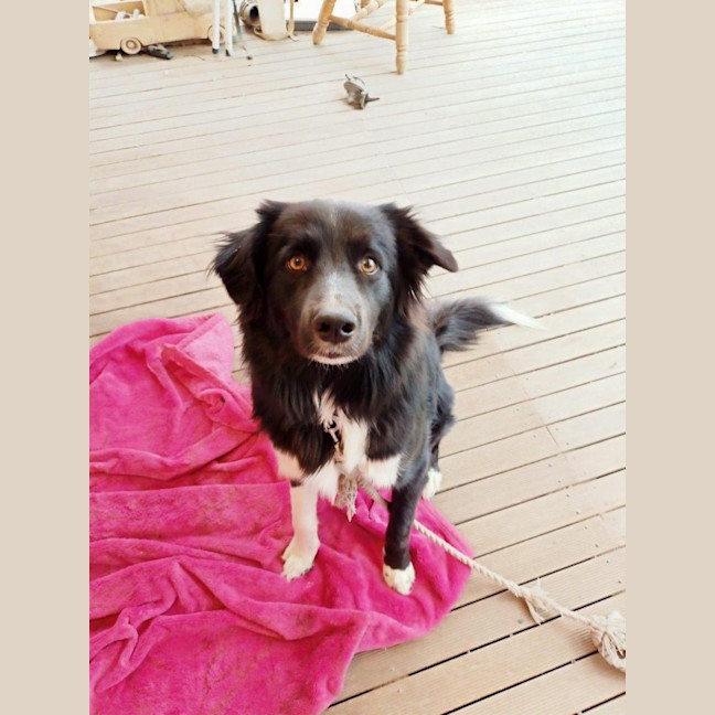 Photo of Finn Quinell