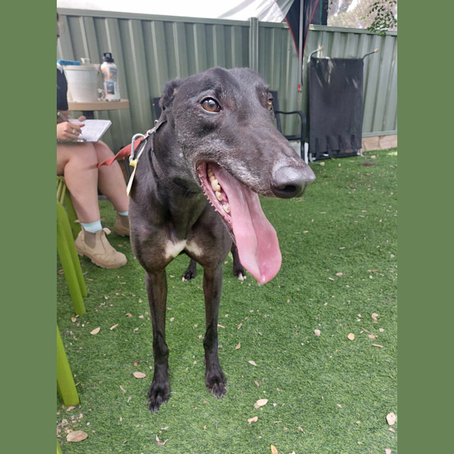 Photo of Royce Witherspoon