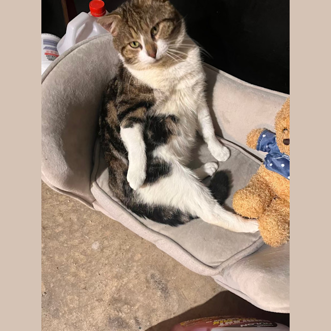 Photo of Charlie