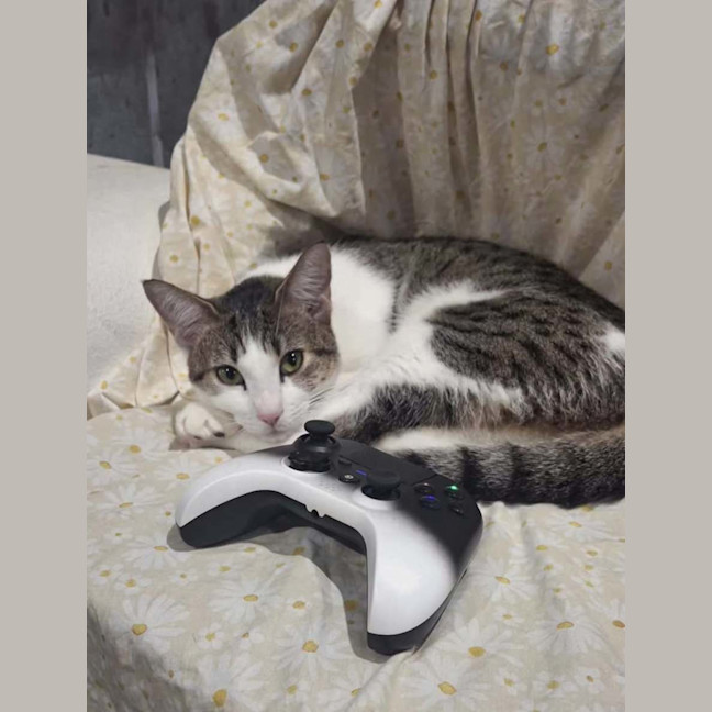Photo of Millie