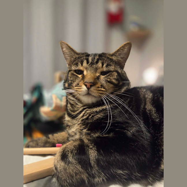 Photo of Buddy