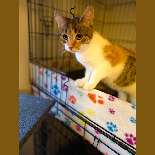 Photo of Laynee 🌺