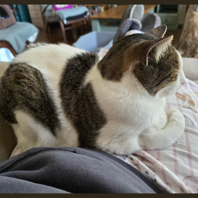 Photo of Jimmy! ❤️ 