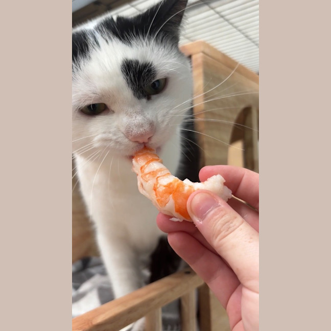 Photo of Murphy