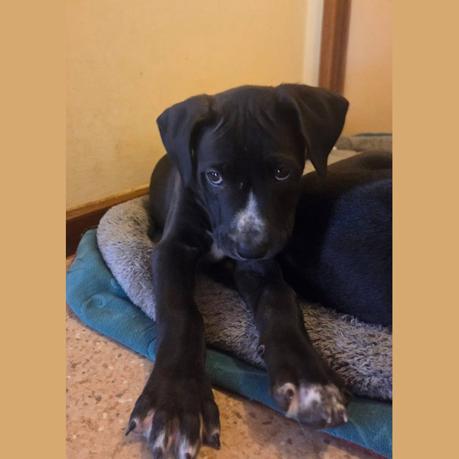 Photo of Hades
