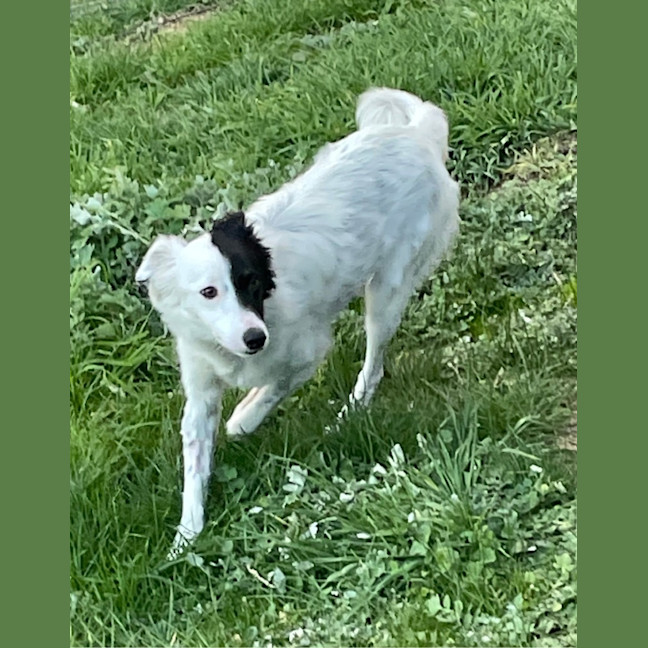 Photo of Jack