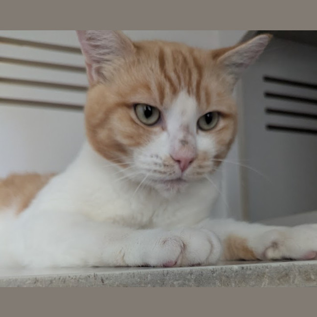 Photo of Fred