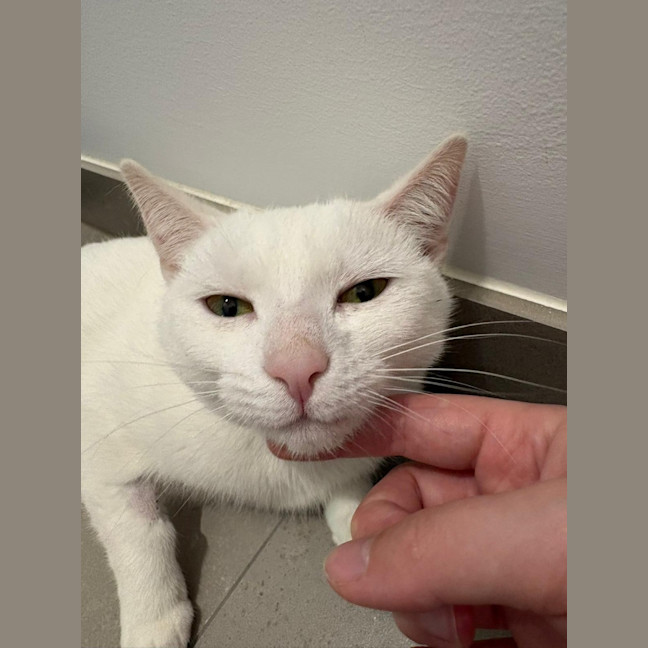 Photo of Yuki