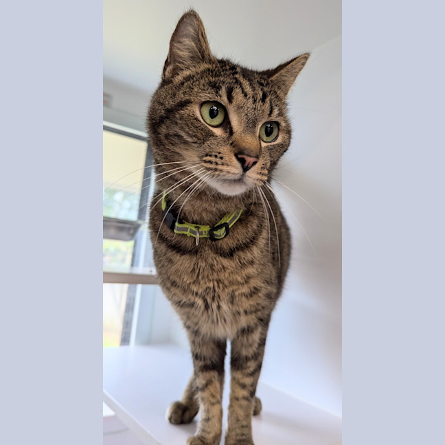 Photo of Billy